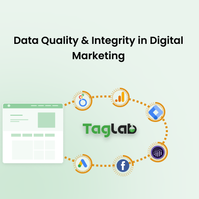 Data Quality and Data Integrity in Digital Marketing