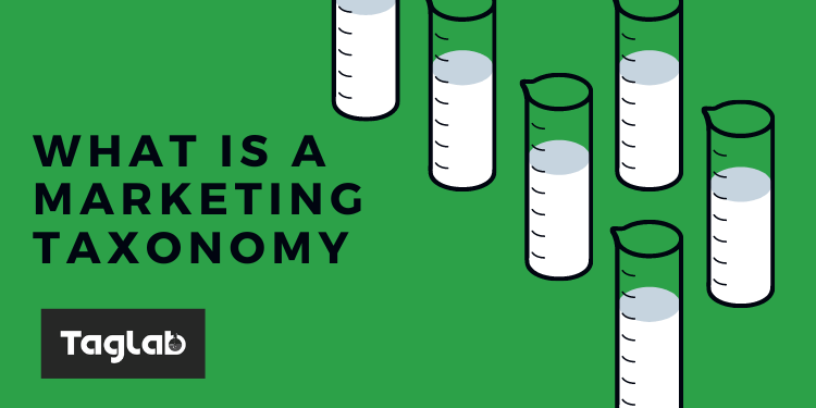 What is a marketing taxonomy