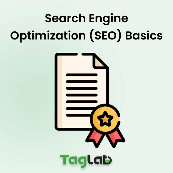 Search Engine Optimization (SEO) Basics